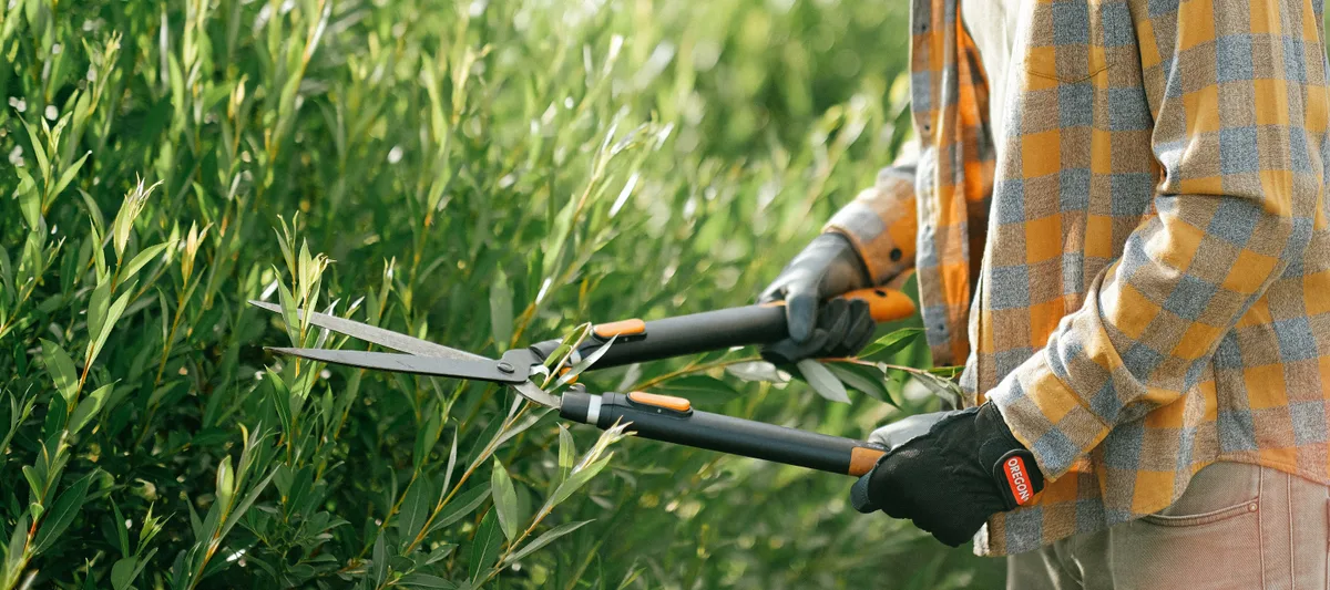 Man using shears Man using shears