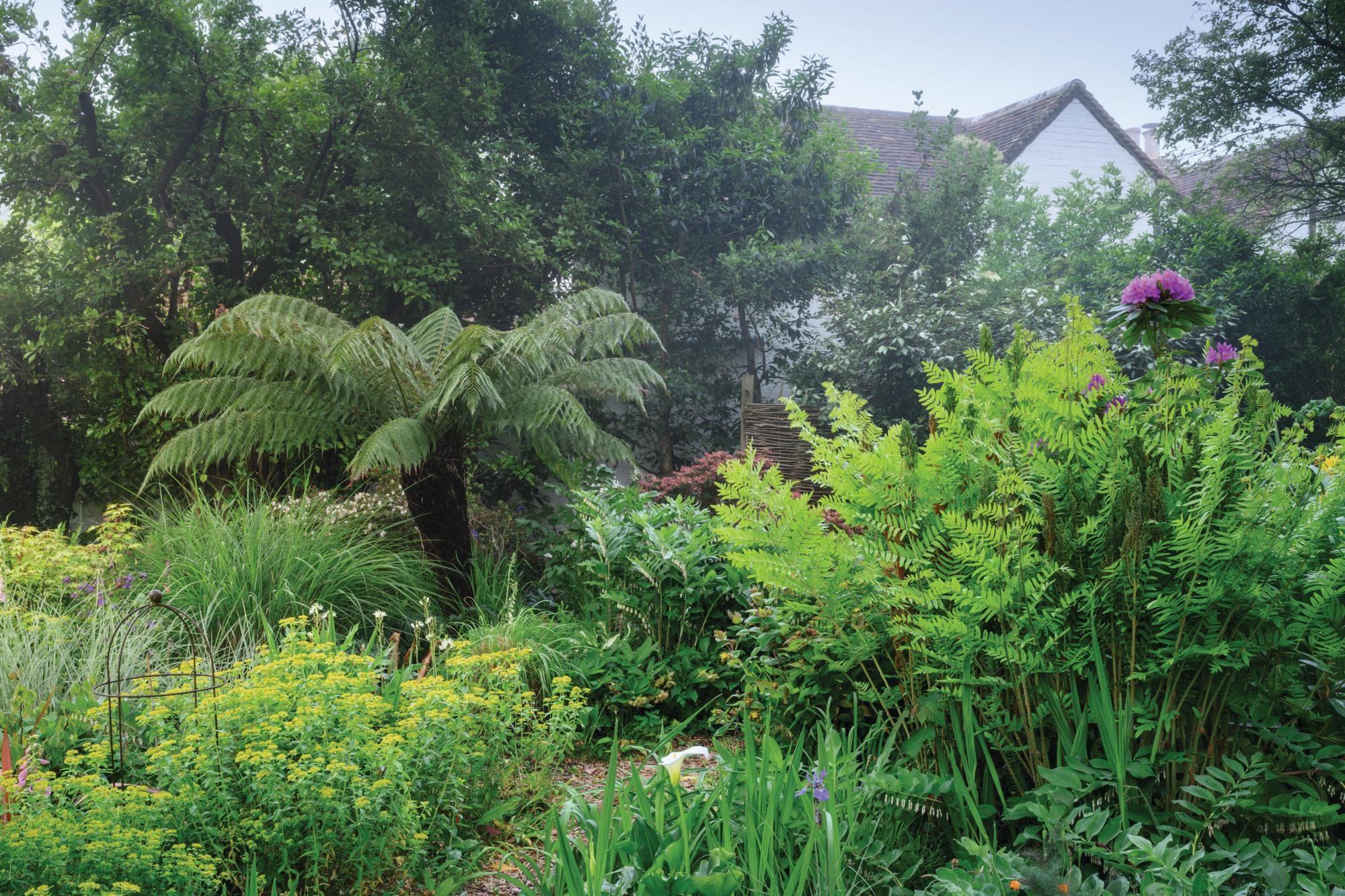 Coombe Cottage