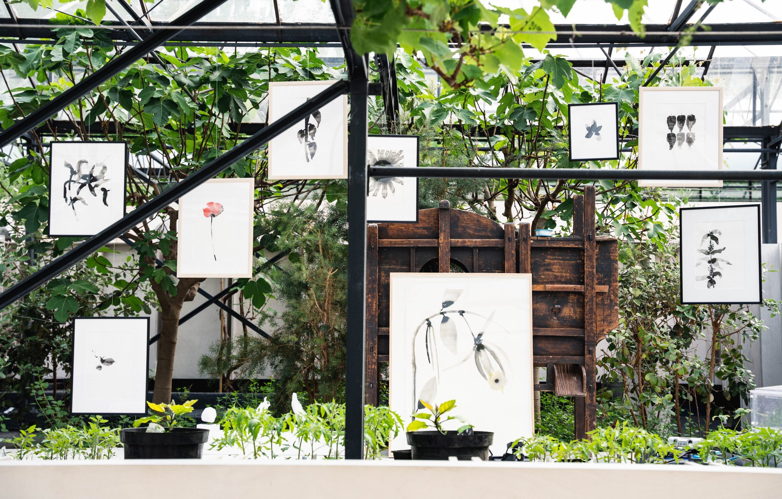 Art gallery at OmVed Gardens