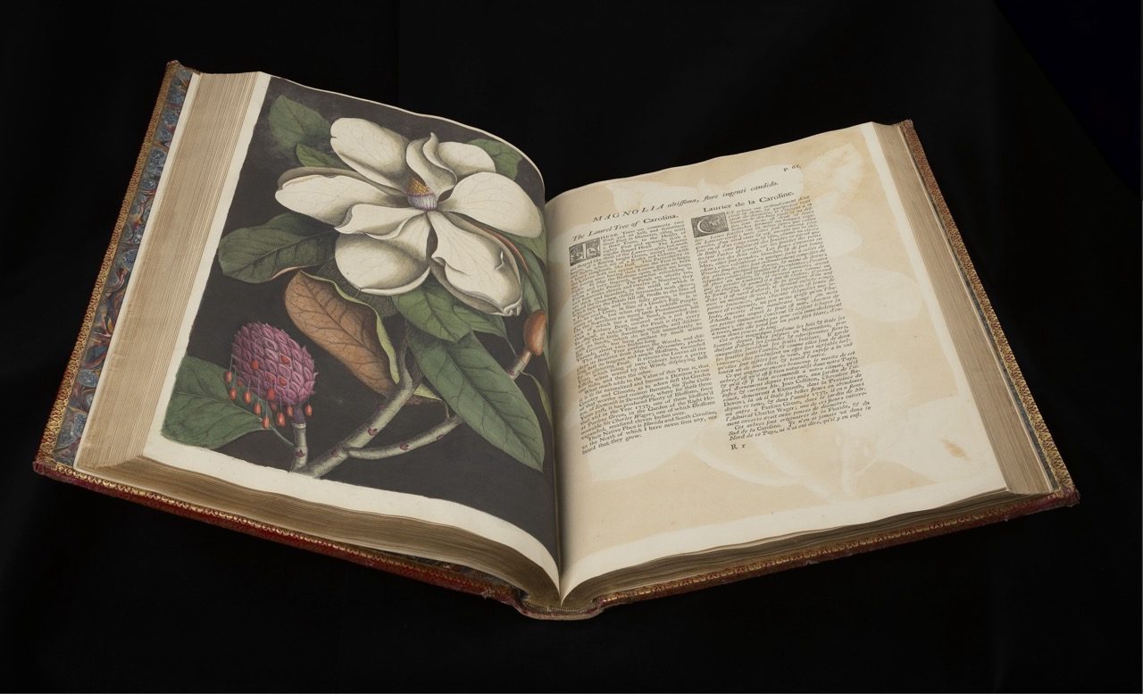 An open horticulture book on a black background