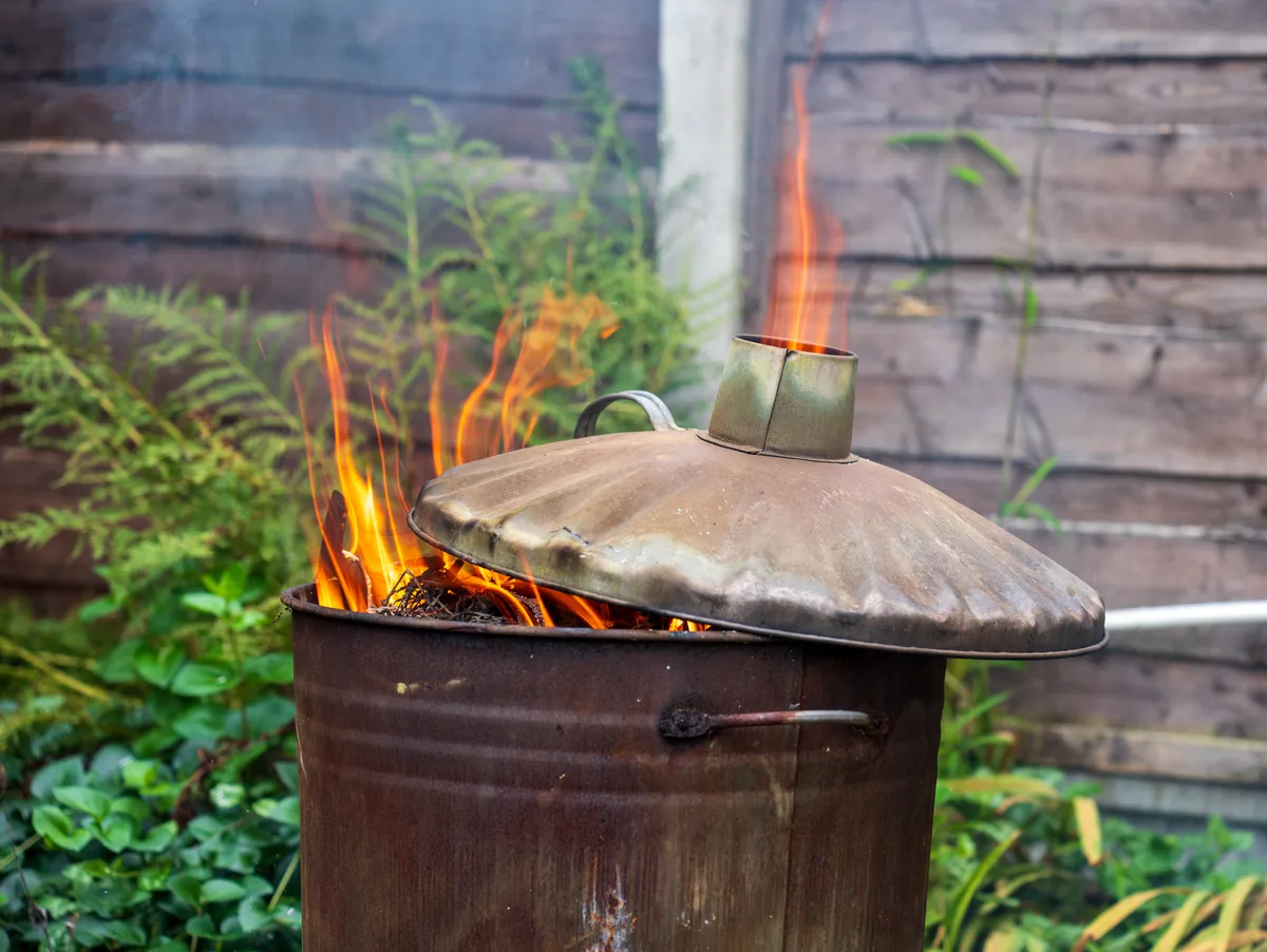 A metal bin ablaze with flames, surrounded by lush greenery. A metal brazier ablaze with flames, surrounded by lush greenery.
