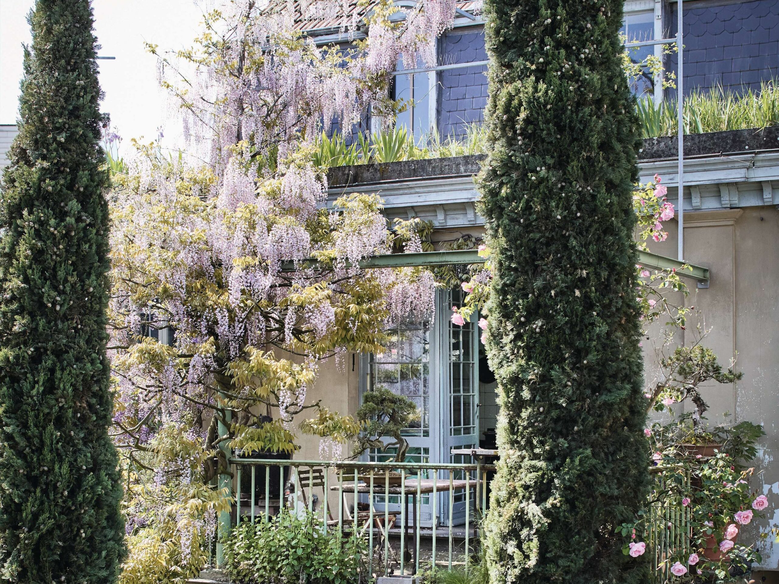 Antoine Vandewoude's garden in Antwerp