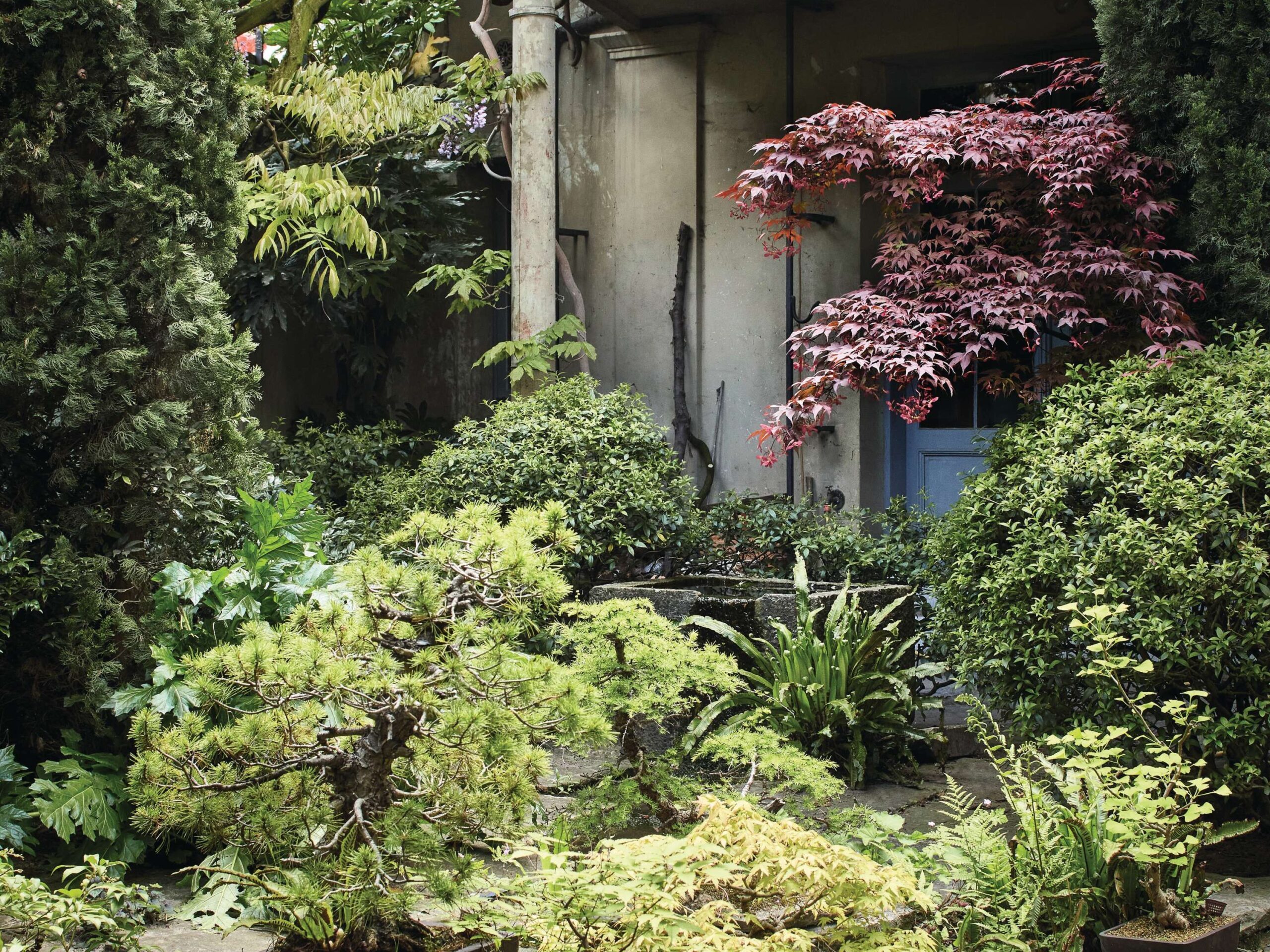 Antoine Vandewoude's garden in Antwerp