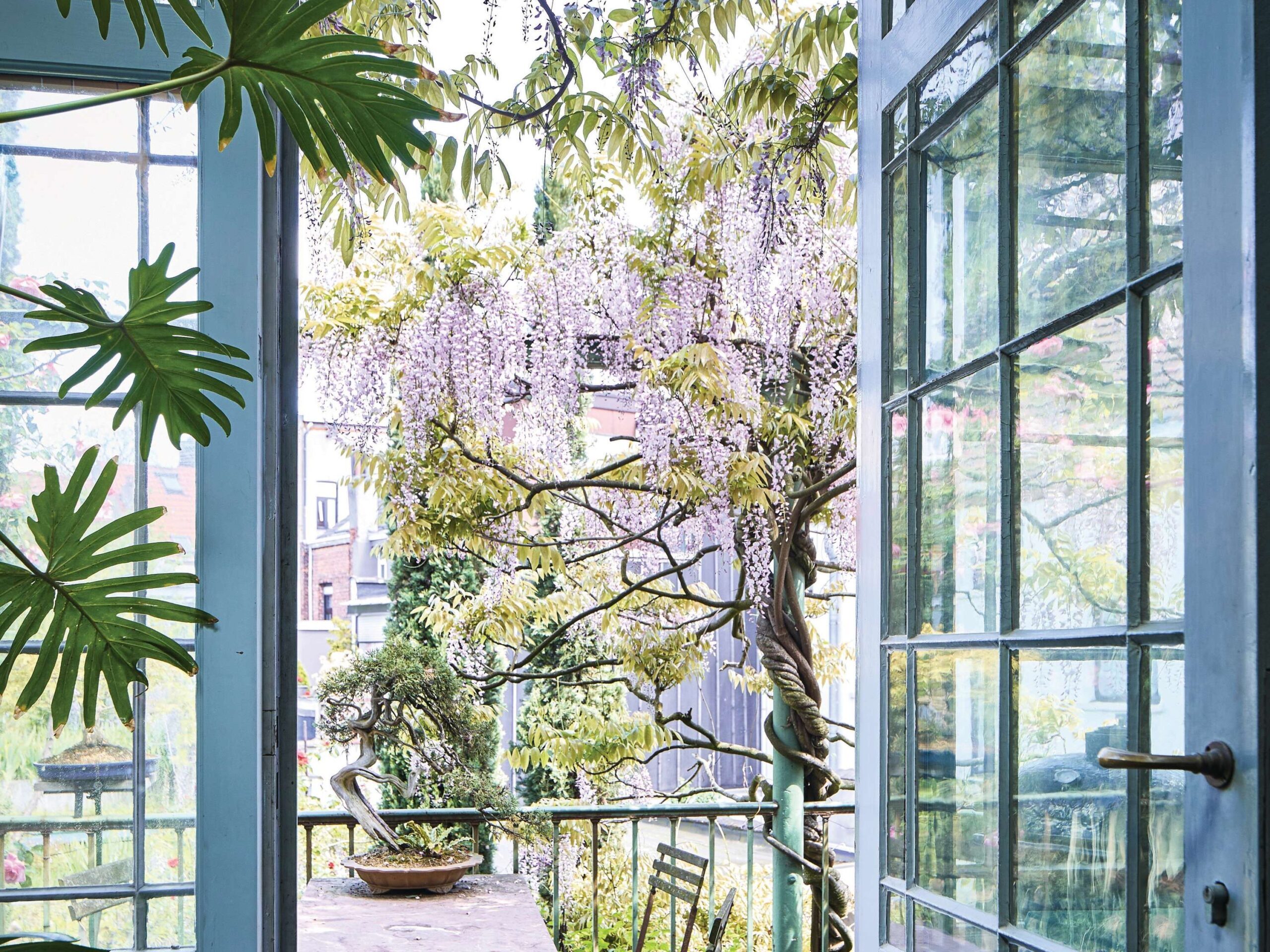 Antoine Vandewoude's garden in Antwerp