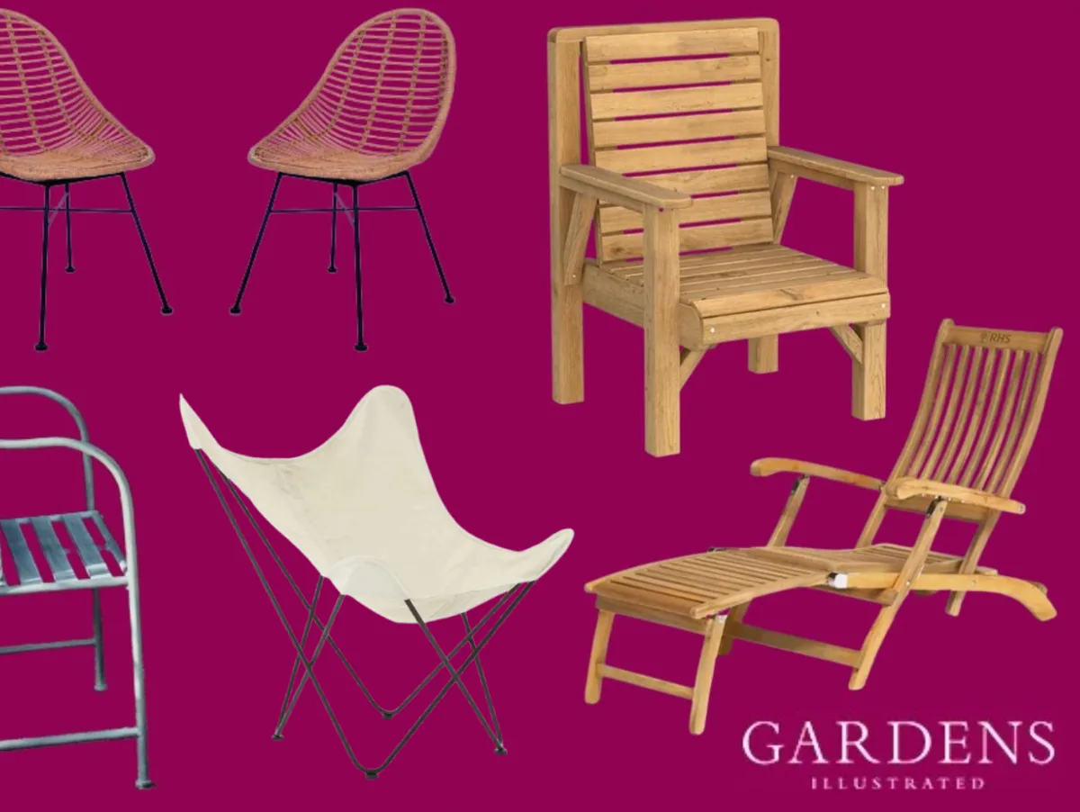 Garden chairs A selection of garden chairs on a pink background