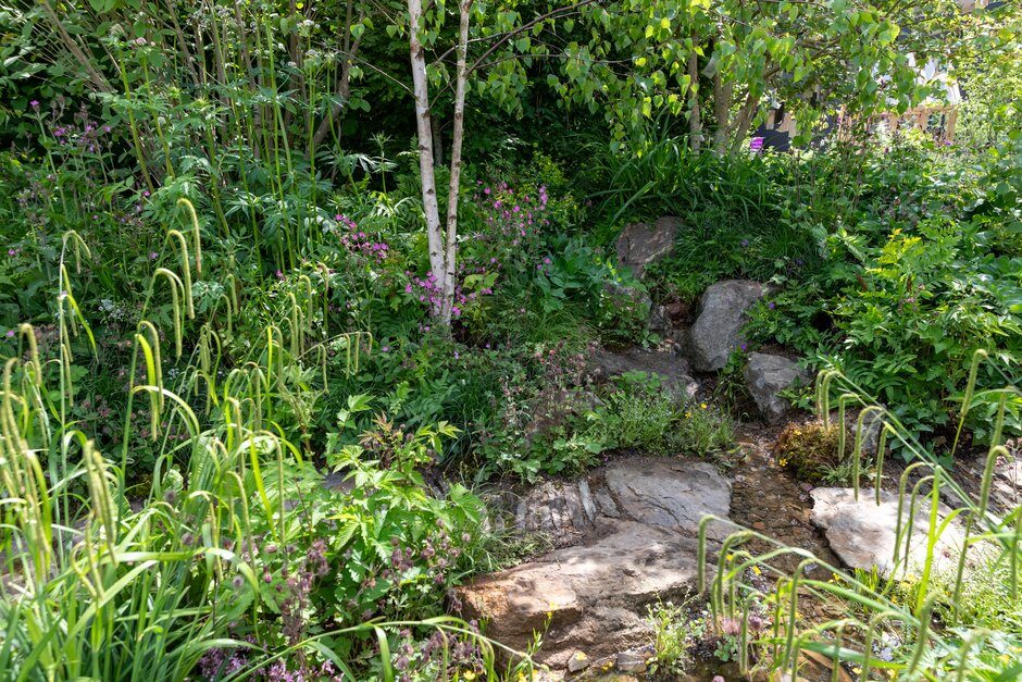 Woodland Trust: Forgotten Forests Garden. Designed by Ashleigh Aylett. All About Plants. RHS Chelsea Flower Show 2026. Site no. 118