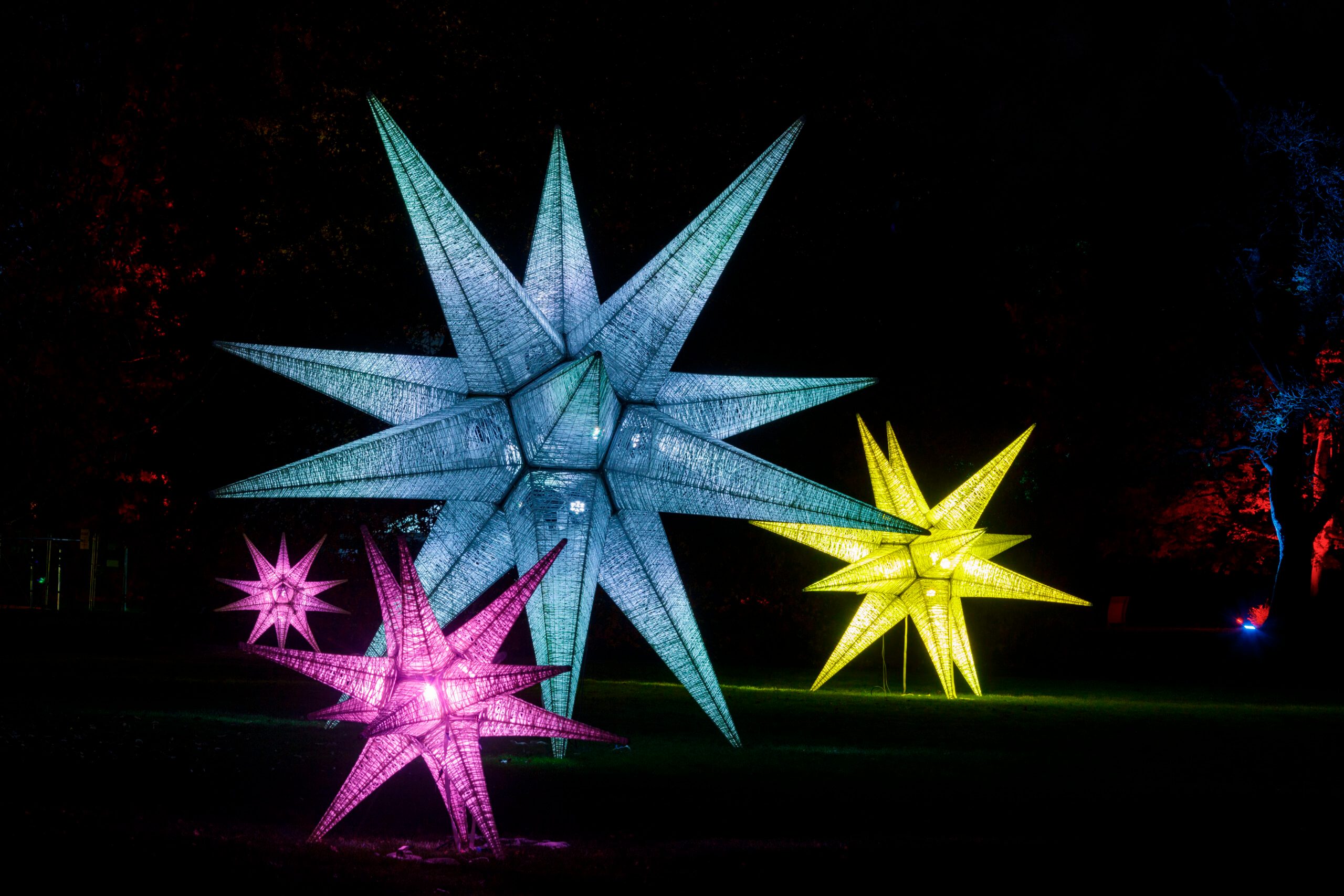 'Glow' at RHS Garden Wisley.