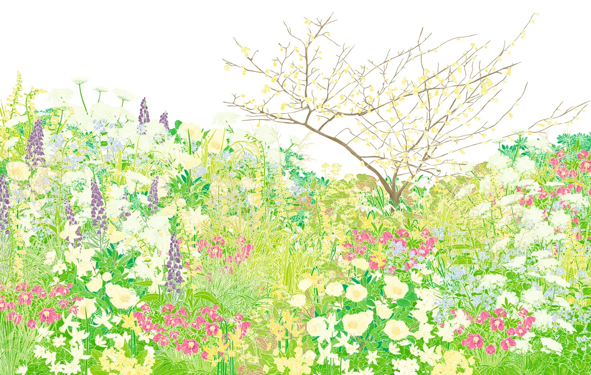 Sarah Price spring border Garden designer Sarah Price spring border plan