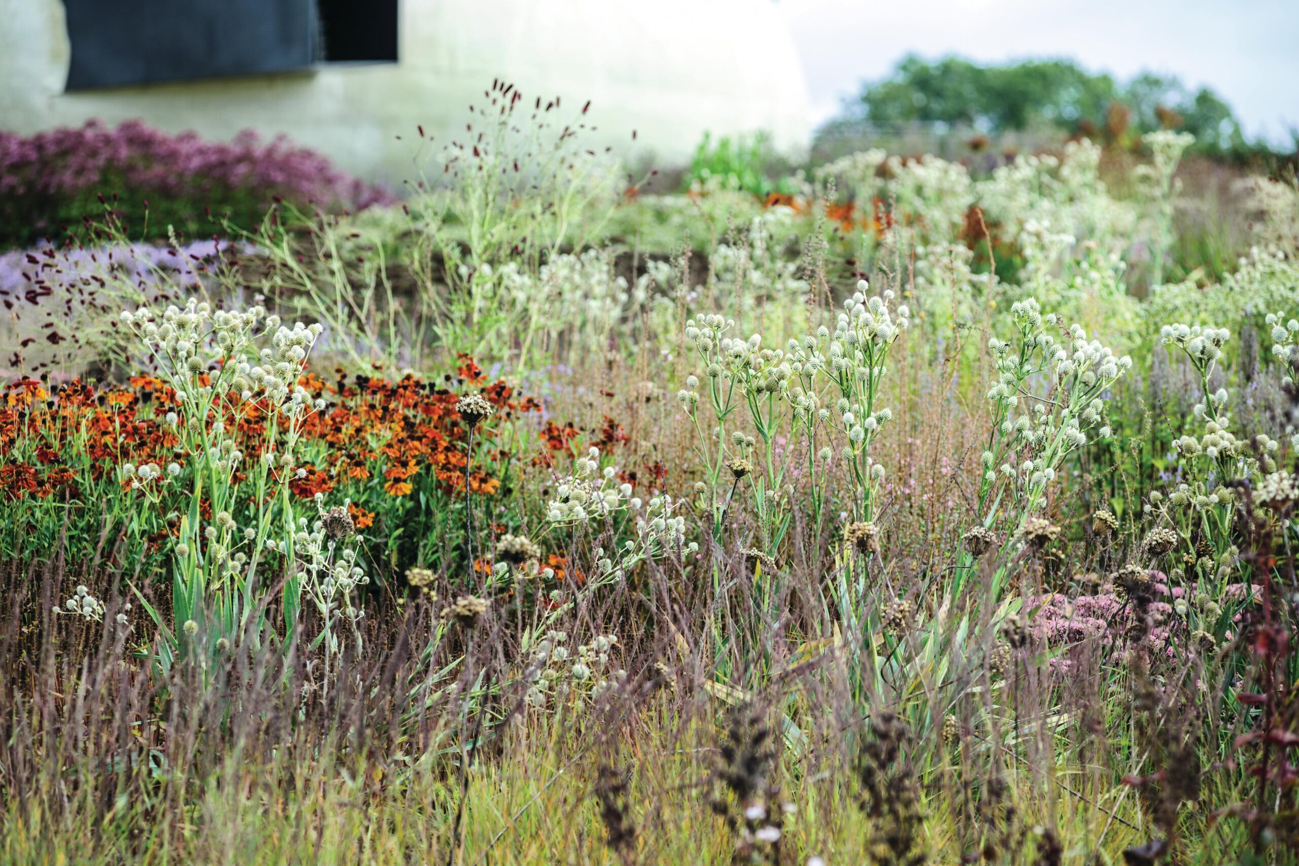 Oudolf Field at Hauser and Wirth, Somerset