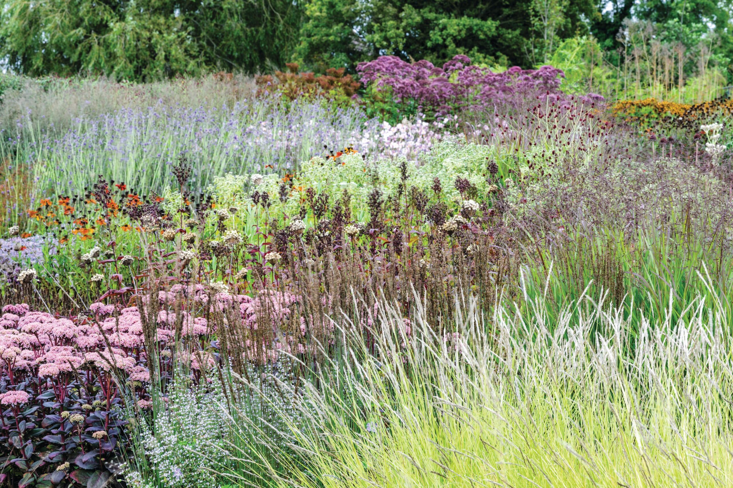 Oudolf Field at Hauser and Wirth, Somerset