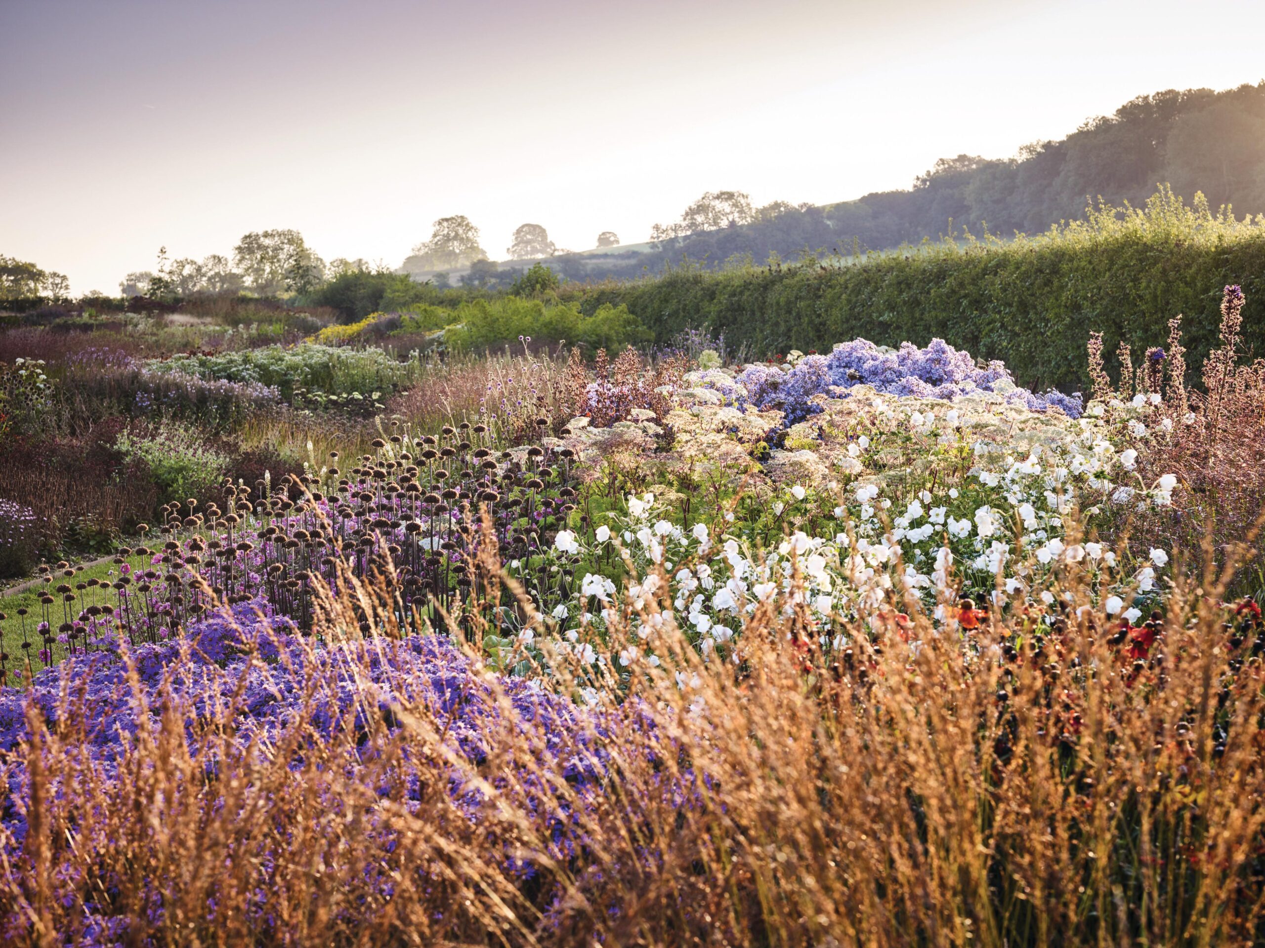 Oudolf Field at Hauser and Wirth, Somerset
